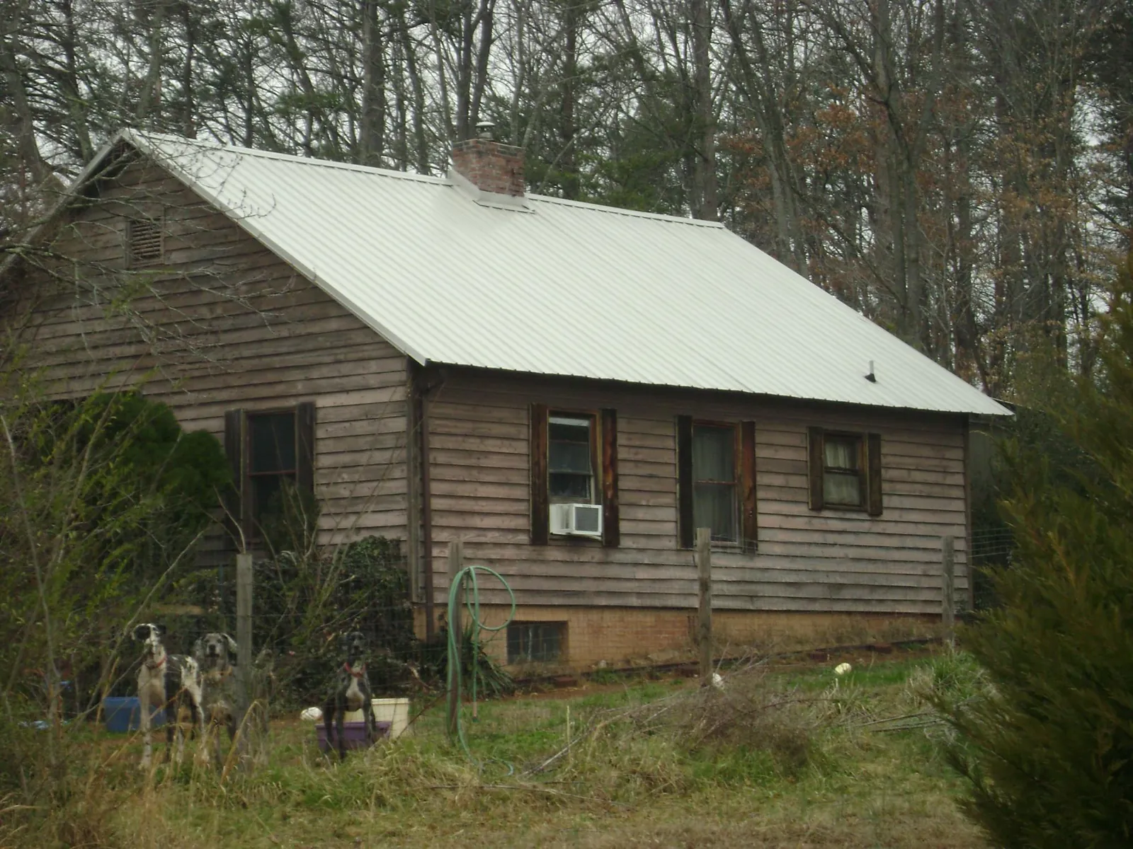 White metal roof on an old wood sided farmhouse, from a Asphalt Shingle Roof Repair job in San Pablo